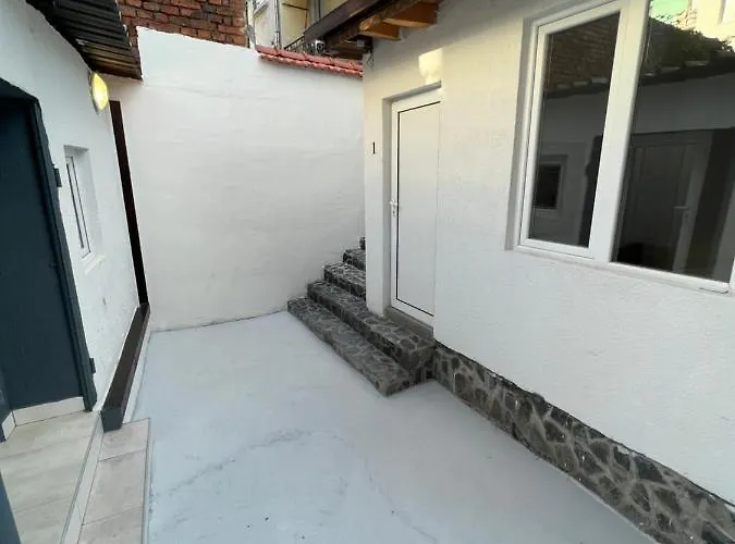 The Rainbow 5 * 索菲亞